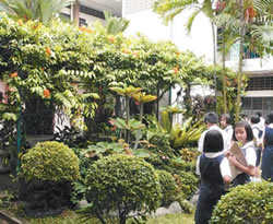 钢骨水泥中的绿校园