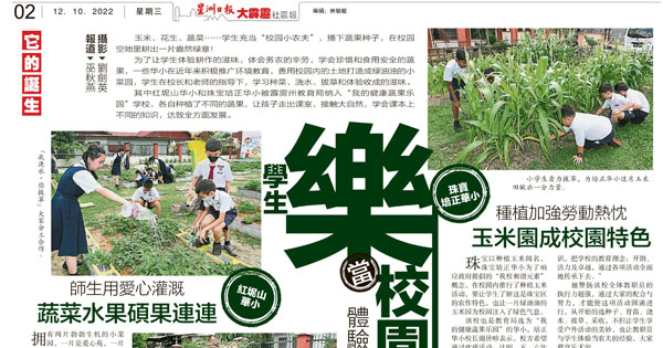 学生乐当校园小农夫 体验种菜辛劳收成滋味