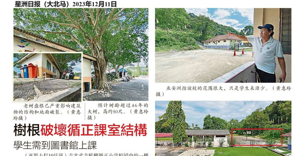 树根破坏循正课室结构 学生需到图书馆上课